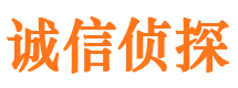 分宜调查事务所